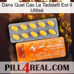 Dans Quel Cas Le Tadalafil Est-Il Utilisé new05